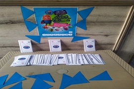 آموزش همگانی 